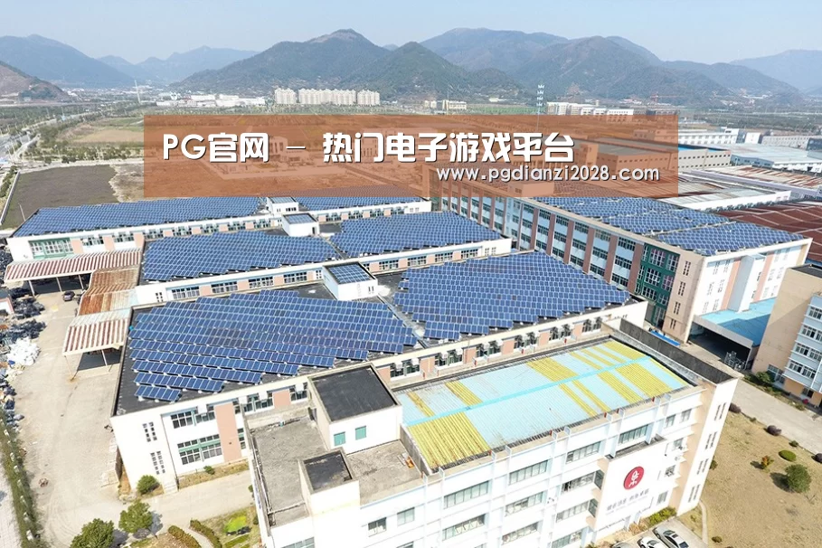 案例展示二