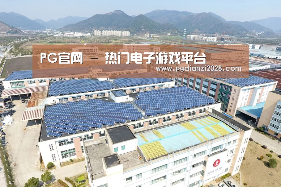案例展示一