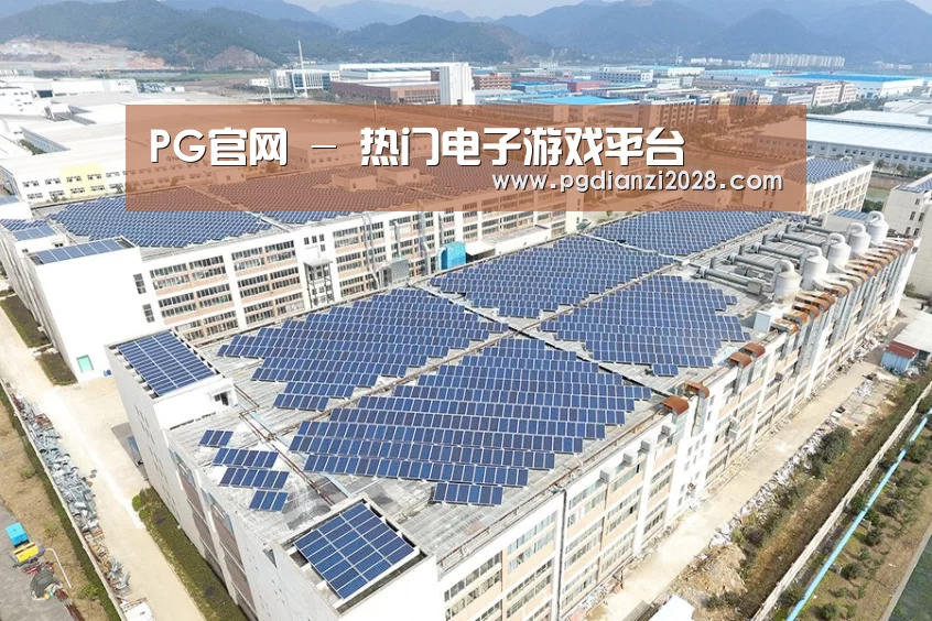 案例展示三