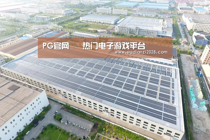 案例展示三