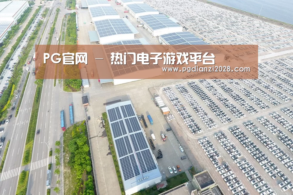 案例展示四