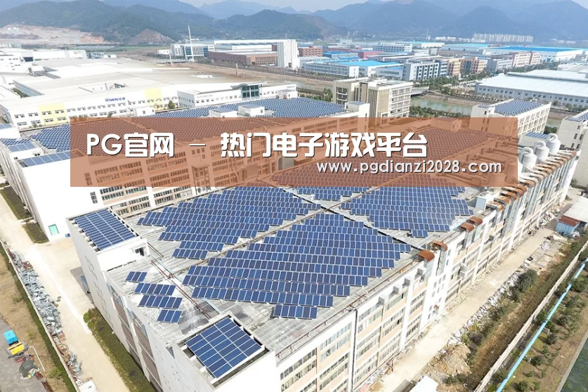 案例展示四