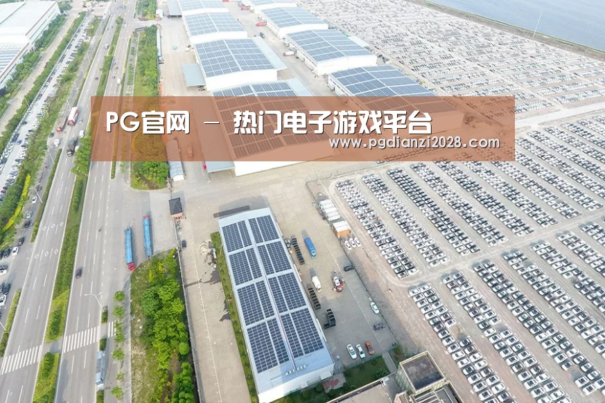 案例展示三